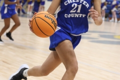 decatur-36